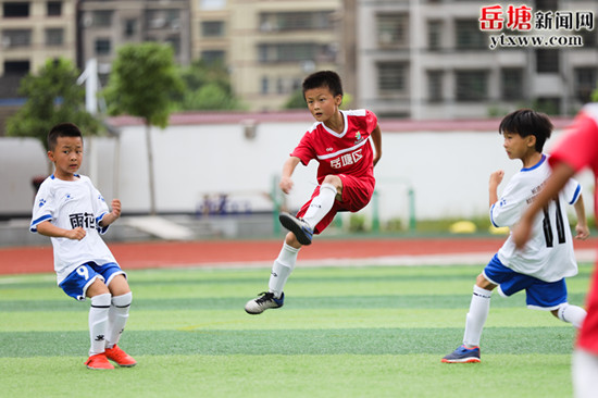 全省青少年校園足球夏令營圓滿收官 岳塘區(qū)教育局代表隊榮獲賽事一等獎