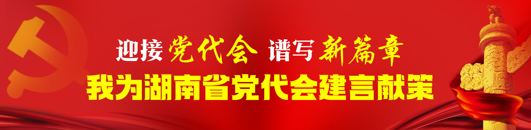 迎接党代会 谱写新篇章 我为湖南省党代会建言献策