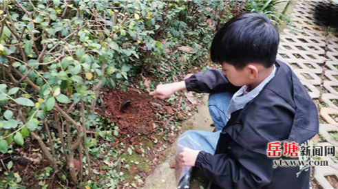 滴水湖學(xué)校開展泥土樣本采集實踐活動