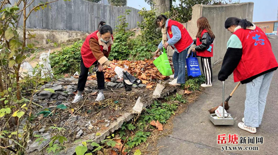 守護“綠色家園”? 向陽社區(qū)青年志愿者在行動