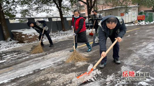 【迎戰(zhàn)冰雪 愛在寒冬 岳塘在行動】大橋社區(qū)退役軍人志愿先鋒隊開展“破冰行動”