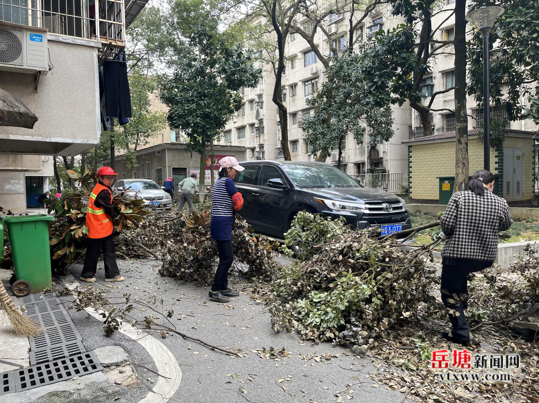 岳塘區(qū)迅速行動攻堅克難 全面深化文明創(chuàng)建工作