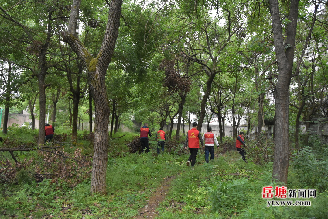 區(qū)政協(xié)全力推進全國文明城市集中攻堅與全面深化行動