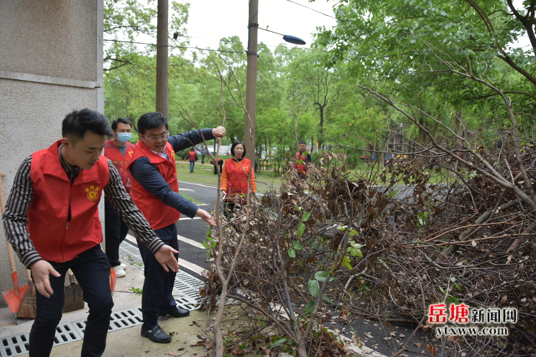 岳塘區(qū)政協(xié)全力推進全國文明城市集中攻堅與全面深化行動