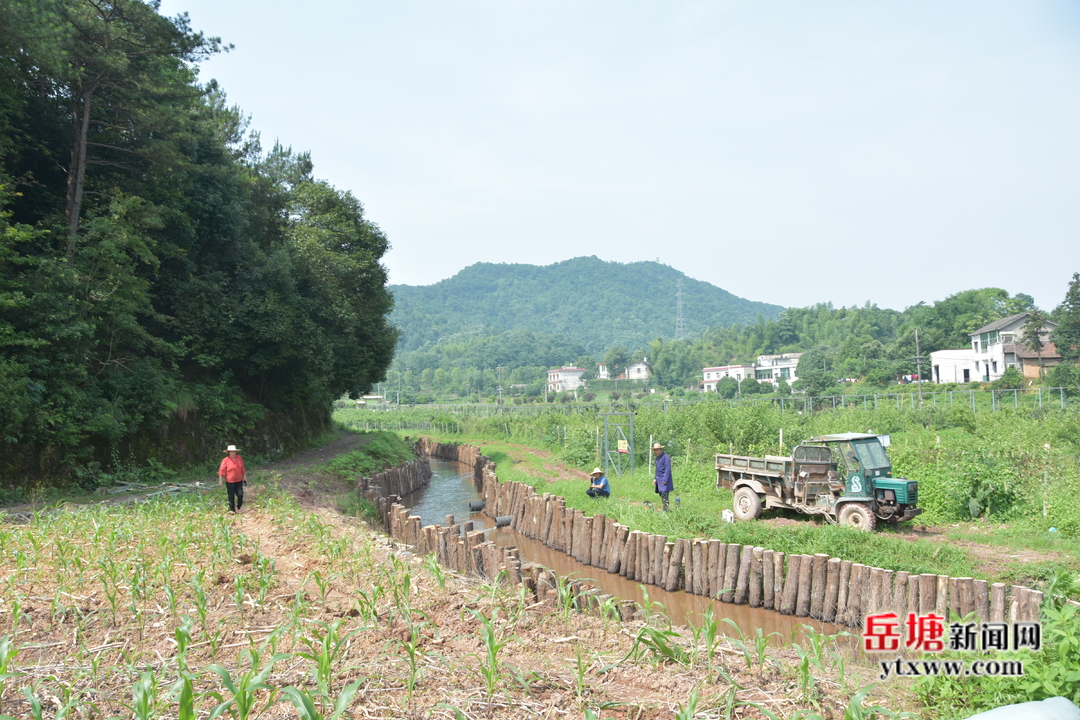 荷塘村：修建“最美”水渠 助力鄉(xiāng)村振興