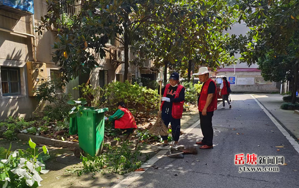 新塘社區(qū)黨員群眾齊上陣 助力深化文明城市建設