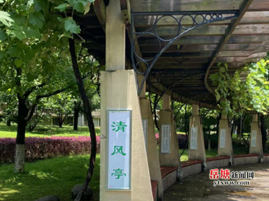 云峰社區(qū)打造清廉陣地 建設(shè)清廉小區(qū)