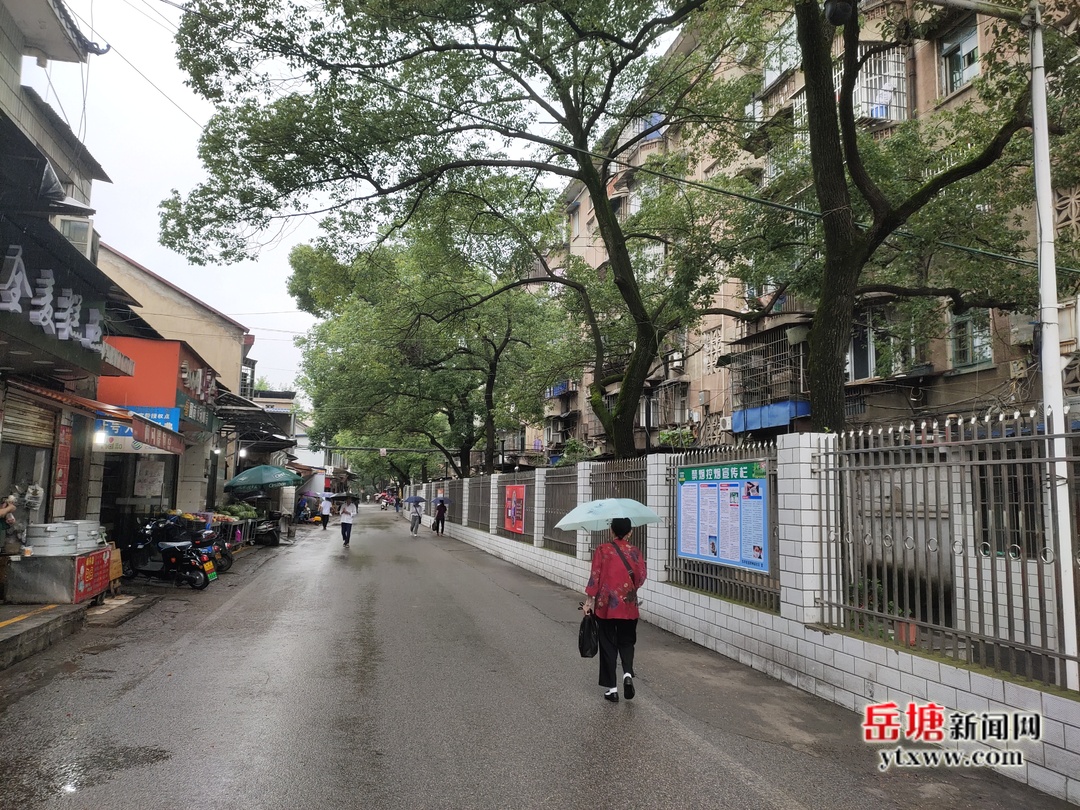 文明岳塘 共同家園丨東坪街道：昔日擁堵路變身居民“順心路”