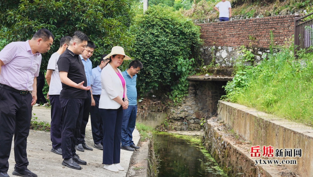 周賞玲調(diào)研岳塘區(qū)黑臭水體治理工作