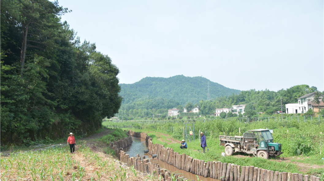 荷塘街道：綠色發(fā)展成為推進(jìn)鄉(xiāng)村振興新引擎