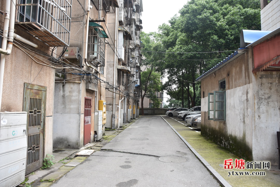 文明岳塘 共同家園丨大陽新村：“三無”小區(qū)變身文明小區(qū)