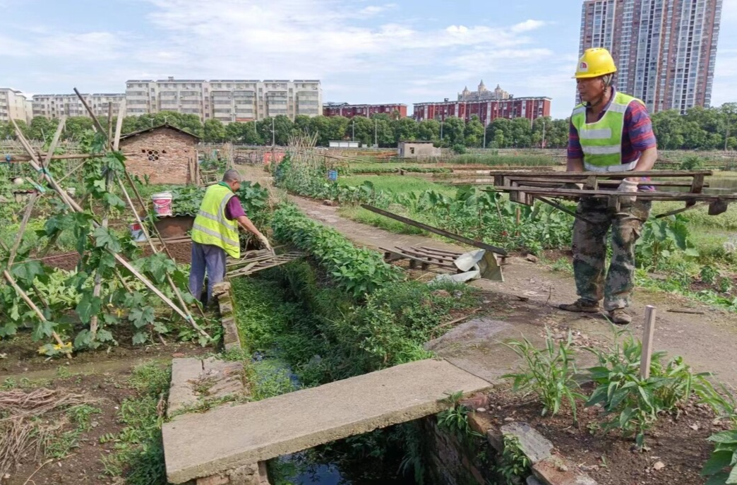 書院路街道：整治小菜地 美化“大環(huán)境”