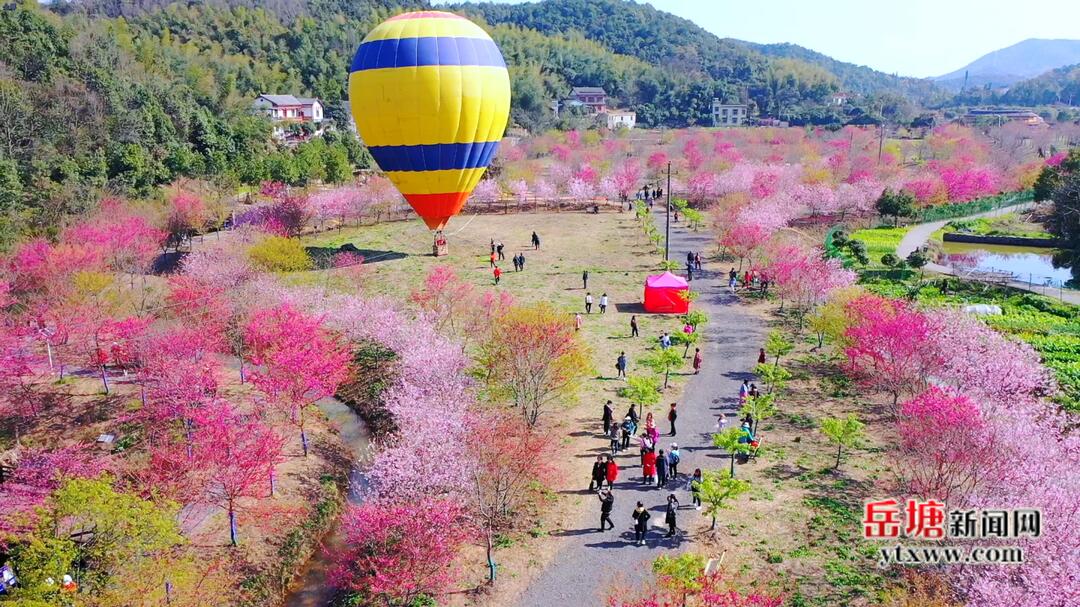 “敢”在岳塘｜岳塘區(qū)：聚焦人居環(huán)境整治 打造和美鄉(xiāng)村新樣板