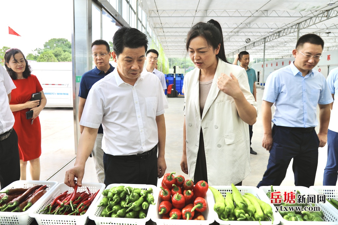 曾志君深入重點(diǎn)項目開展“走基層、找問題、想辦法、促發(fā)展”活動