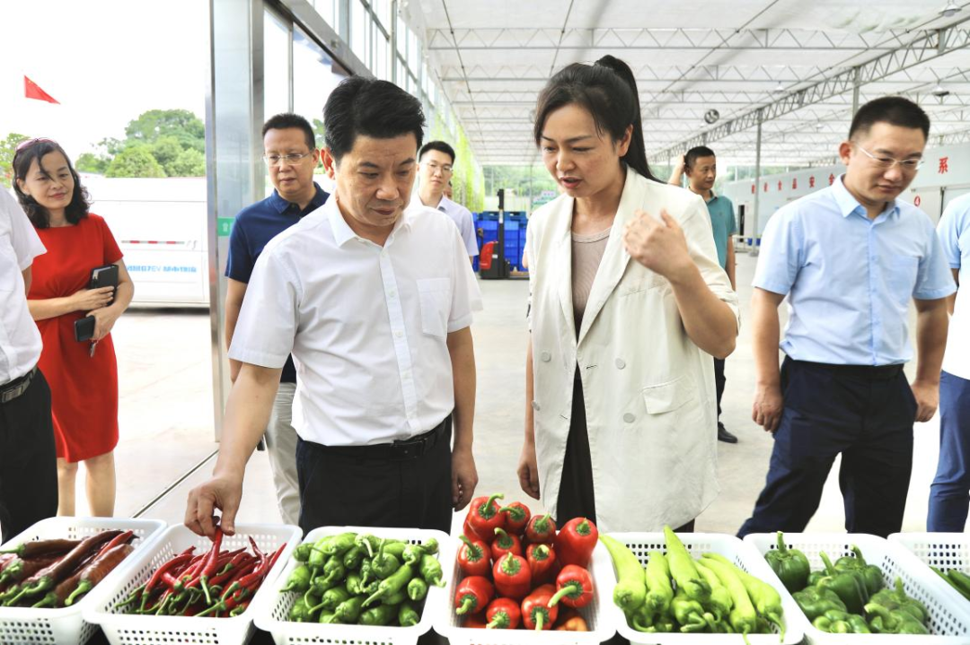 走基層、找問題、想辦法、促發(fā)展｜岳塘區(qū)：干部下沉一線 服務(wù)躍升一流