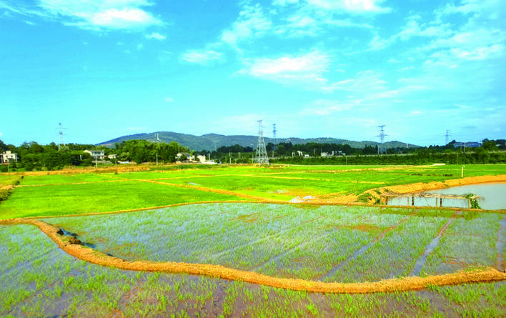 【湘潭日報】瘠土變“良田” 荒山變“金山” ——雙馬街道“三湘護農(nóng)”監(jiān)督再發(fā)力