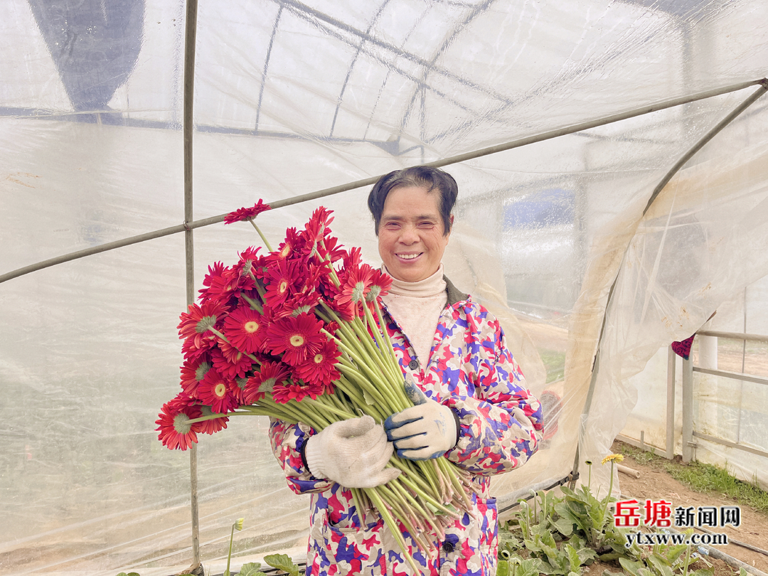 新春走基层丨七星村：“湘采鲜花”销售忙