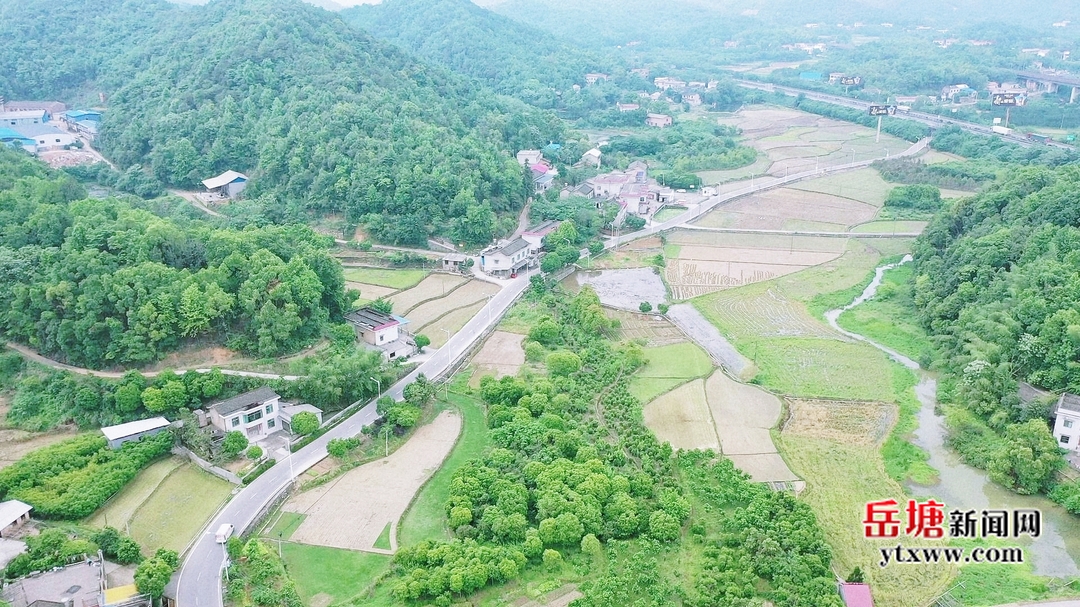 楊軍：扎根基層落實“路長制” 當好“綠心”里的“路管家”