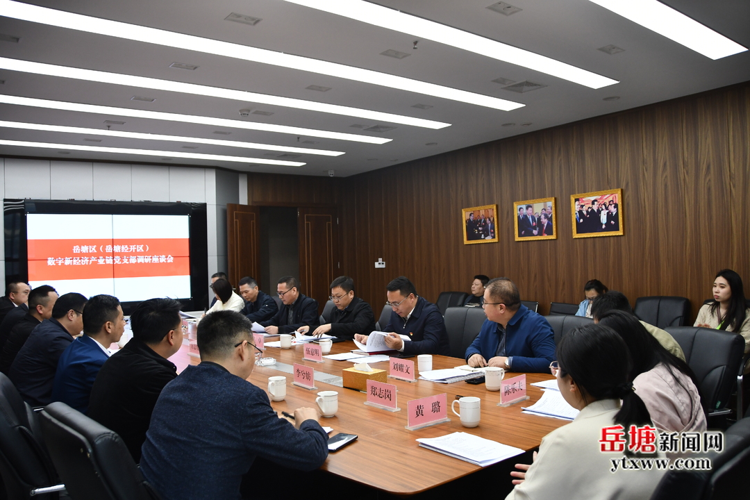 岳塘区（岳塘经开区）数字新经济产业链党支部召开调研座谈会