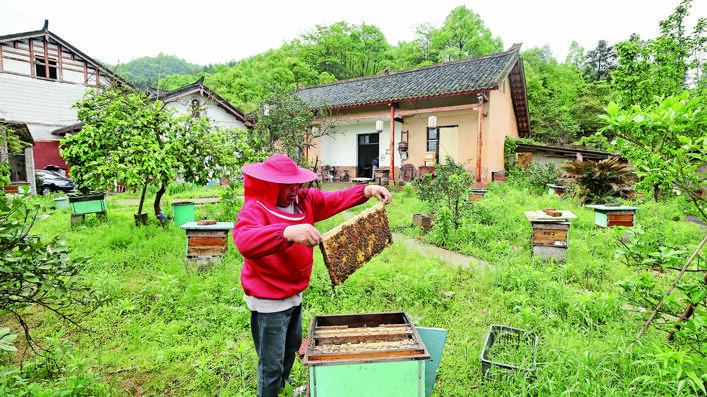 【湘潭日报】“绿心”深处好“蜂”光 庭院经济有“蜜”方