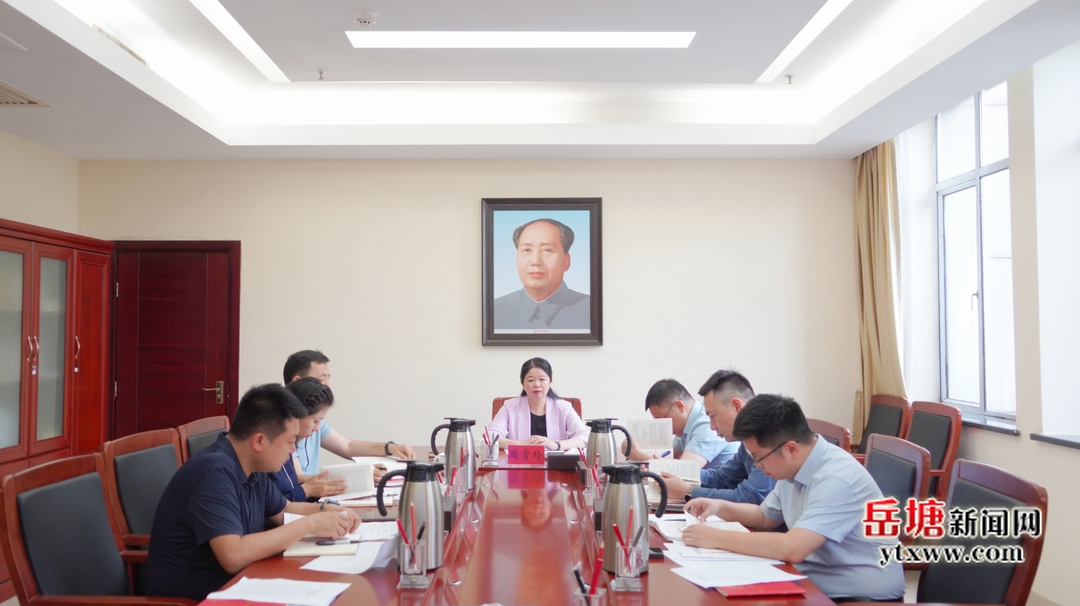 岳塘区政府党组理论学习中心组开展第4次集体学习