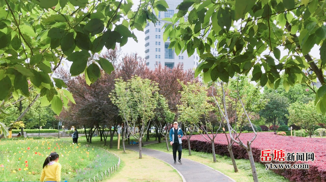 岳塘區(qū)：“口袋公園”讓居民“推窗見綠、出門入園”