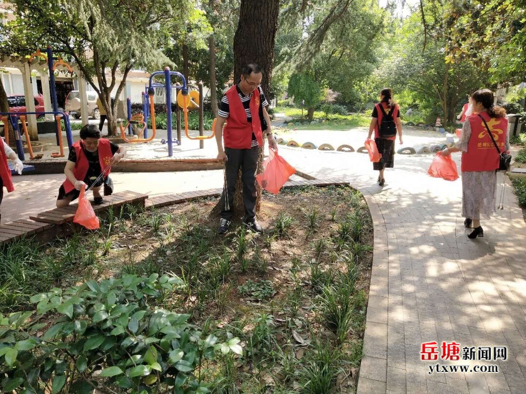 芙蓉社區(qū)：“芙蓉滿庭芳”黨建品牌共建展新篇章