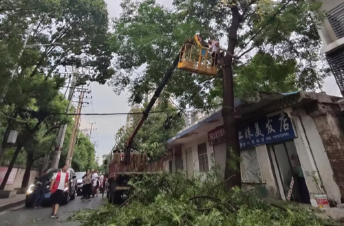 書院路街道迅速響應(yīng) 高效處置倒伏樹木樹枝安全隱患