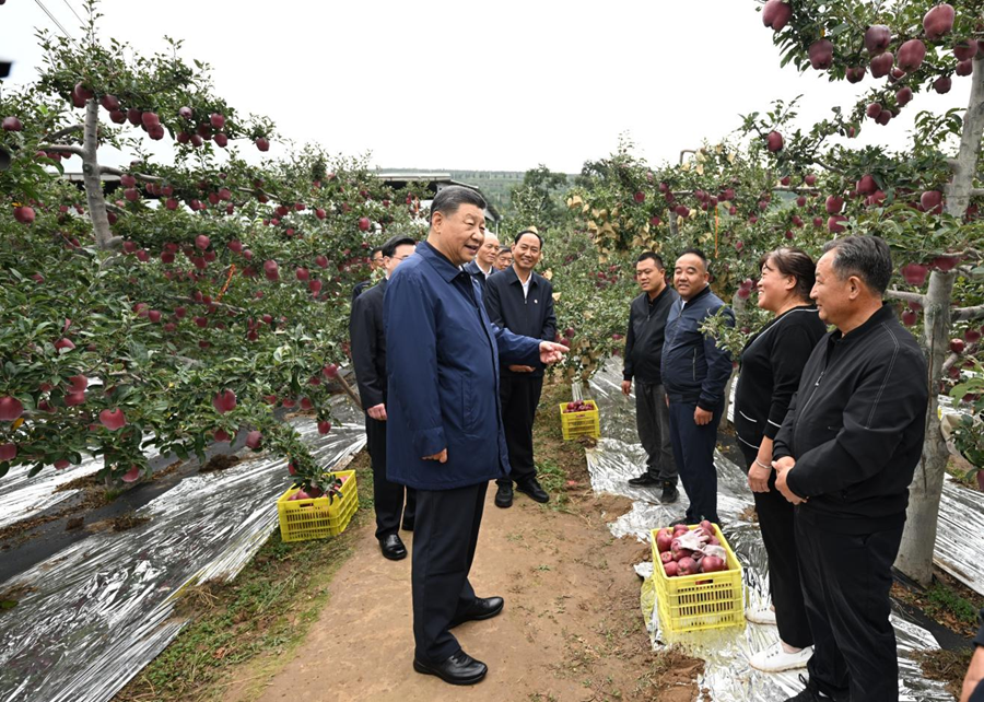 學習進行時丨“讓農(nóng)民腰包越來越鼓、生活越來越美好”——習近平總書記走進田間地頭話“三農(nóng)”