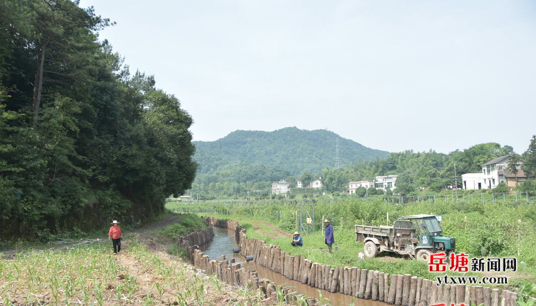 荷塘街道：黨建引領綠色發(fā)展 實現(xiàn)生態(tài)與經(jīng)濟“雙贏”