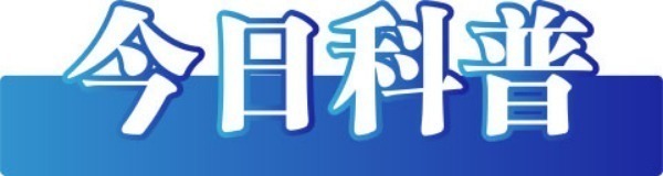今日辟谣（2024年10月31日）