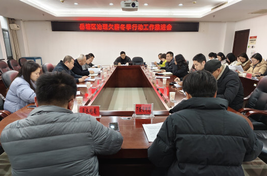 岳塘區(qū)召開治理欠薪冬季行動工作推進(jìn)會
