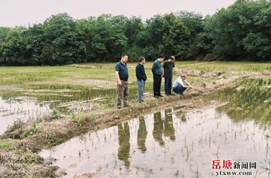 農(nóng)技專家田間指導(dǎo) 解決農(nóng)戶實(shí)際問(wèn)題