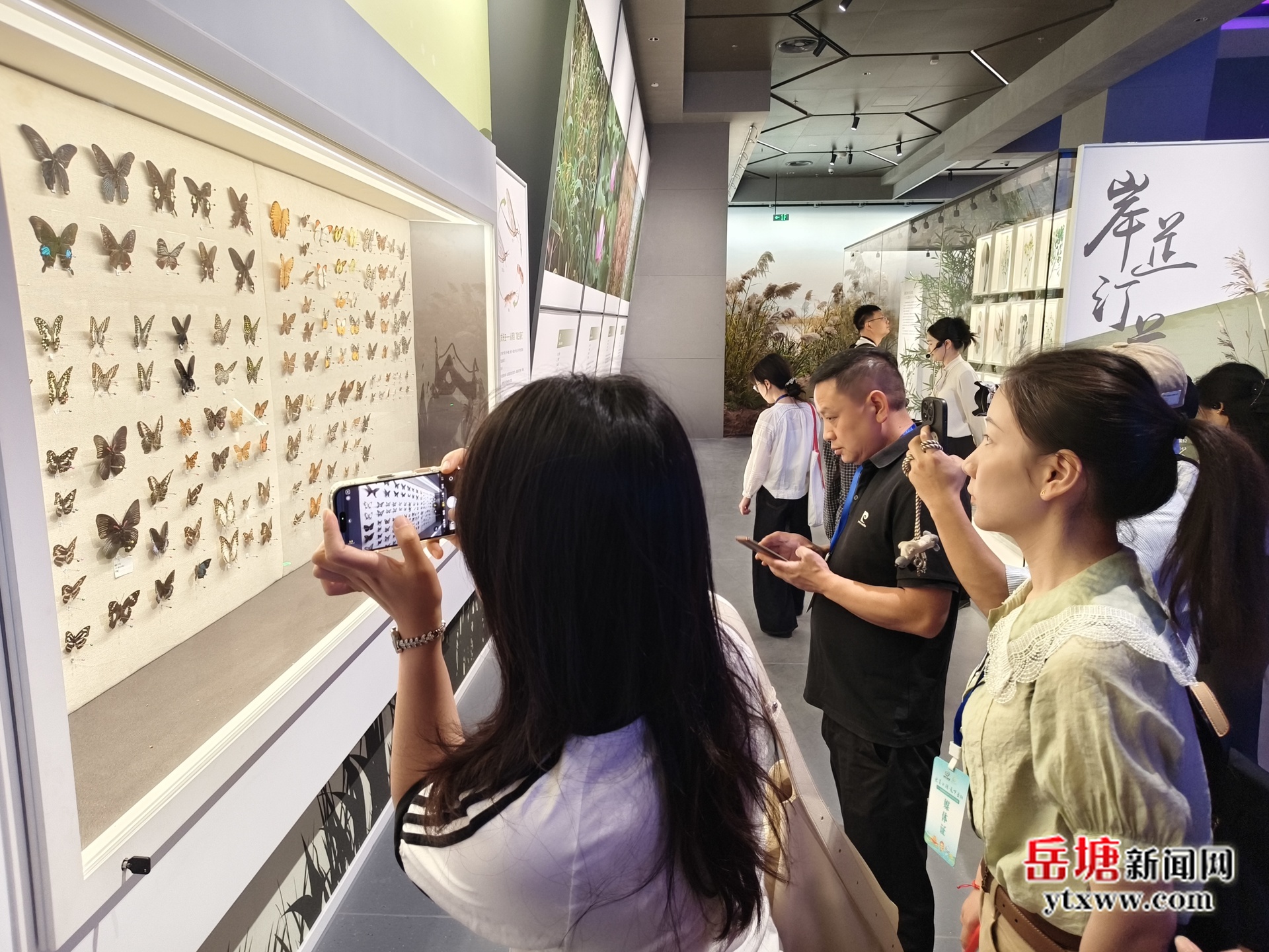 “三湘四水”聚岳陽(yáng)：文旅融合激活城市升級(jí)