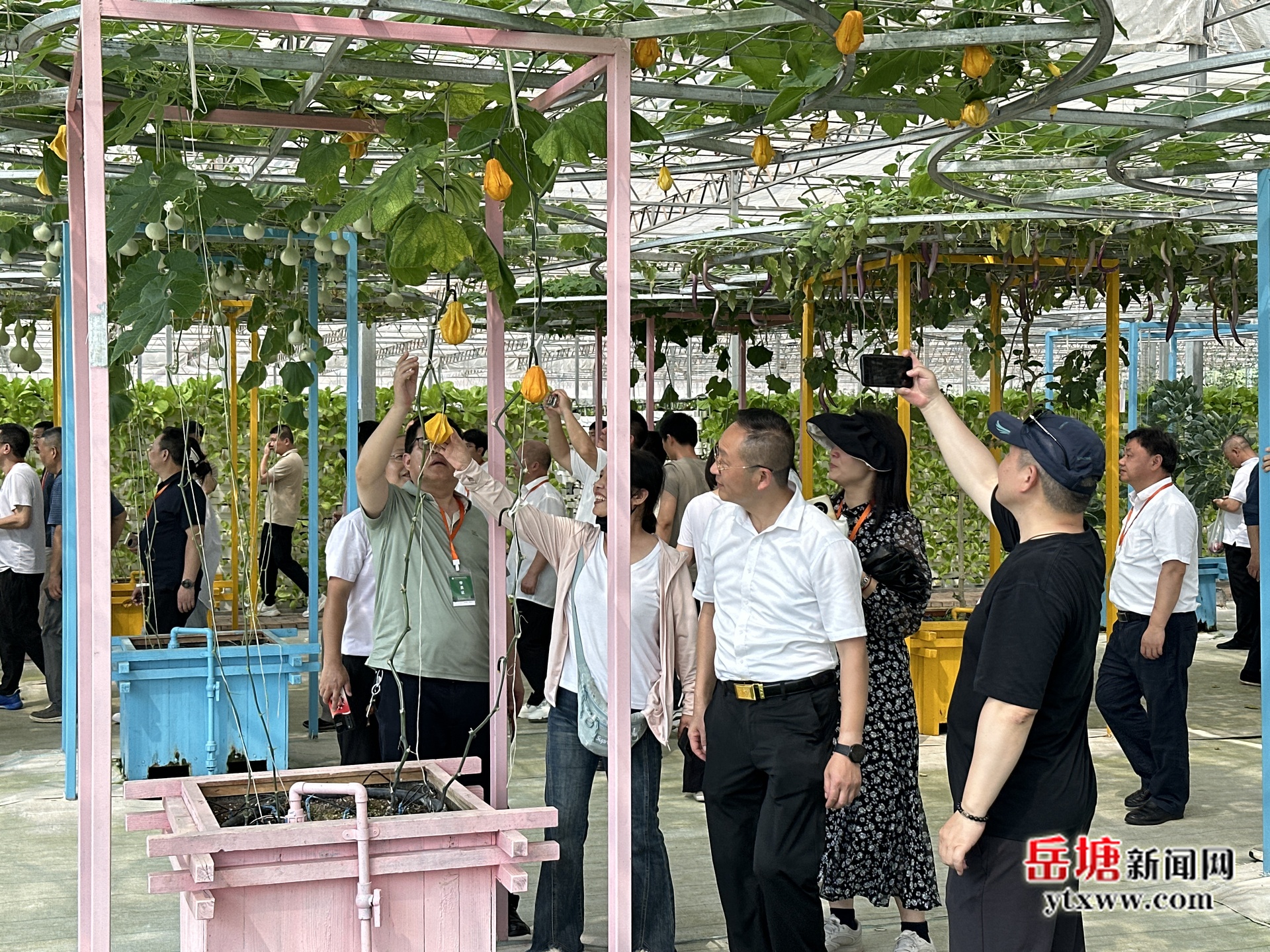 落实“四敢”要求 实施“八抓”行动丨首程农业：农旅融合激活乡村振兴活力