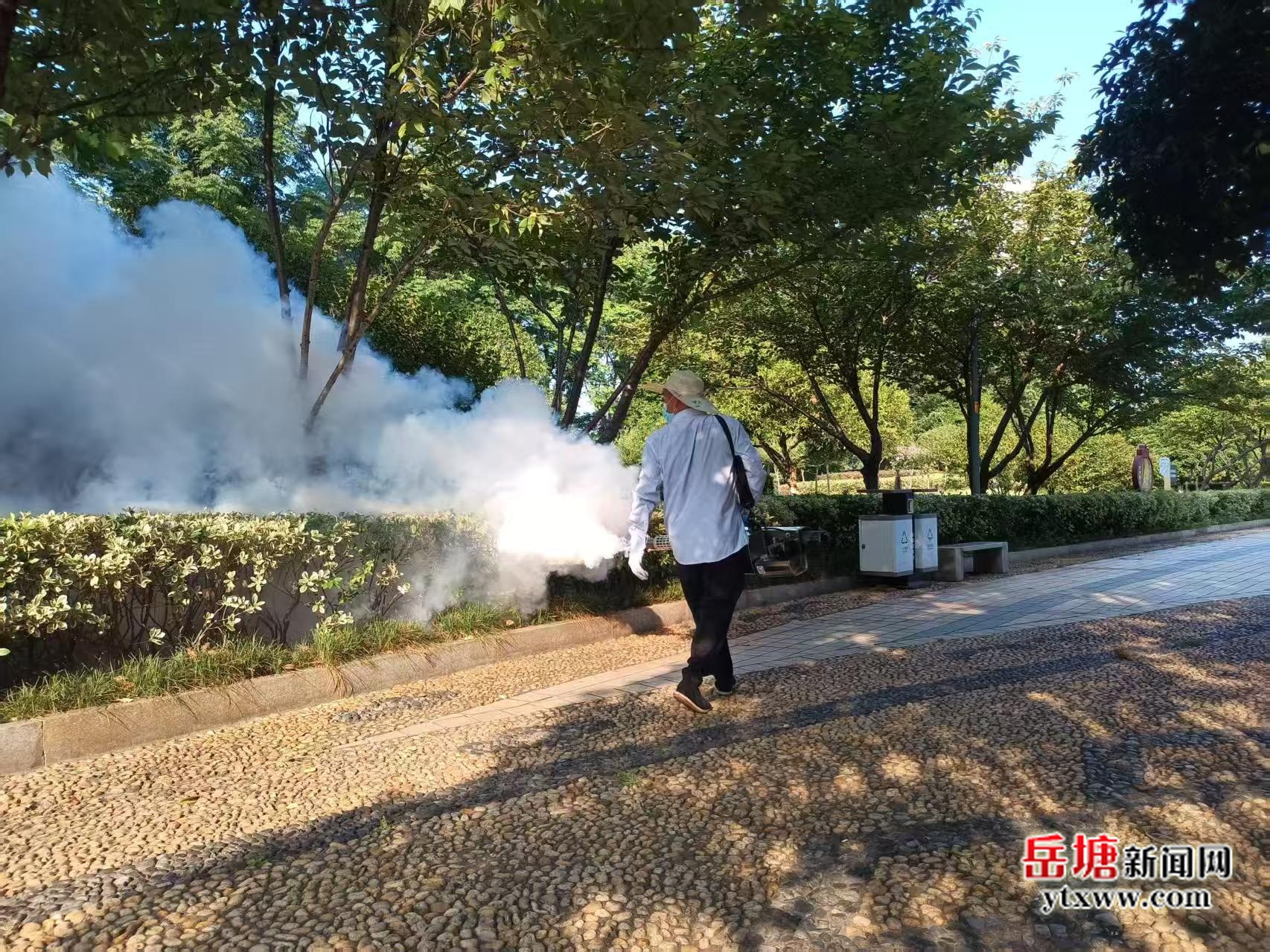 岳塘区持续推进科学灭蚊行动 切实筑牢健康防线