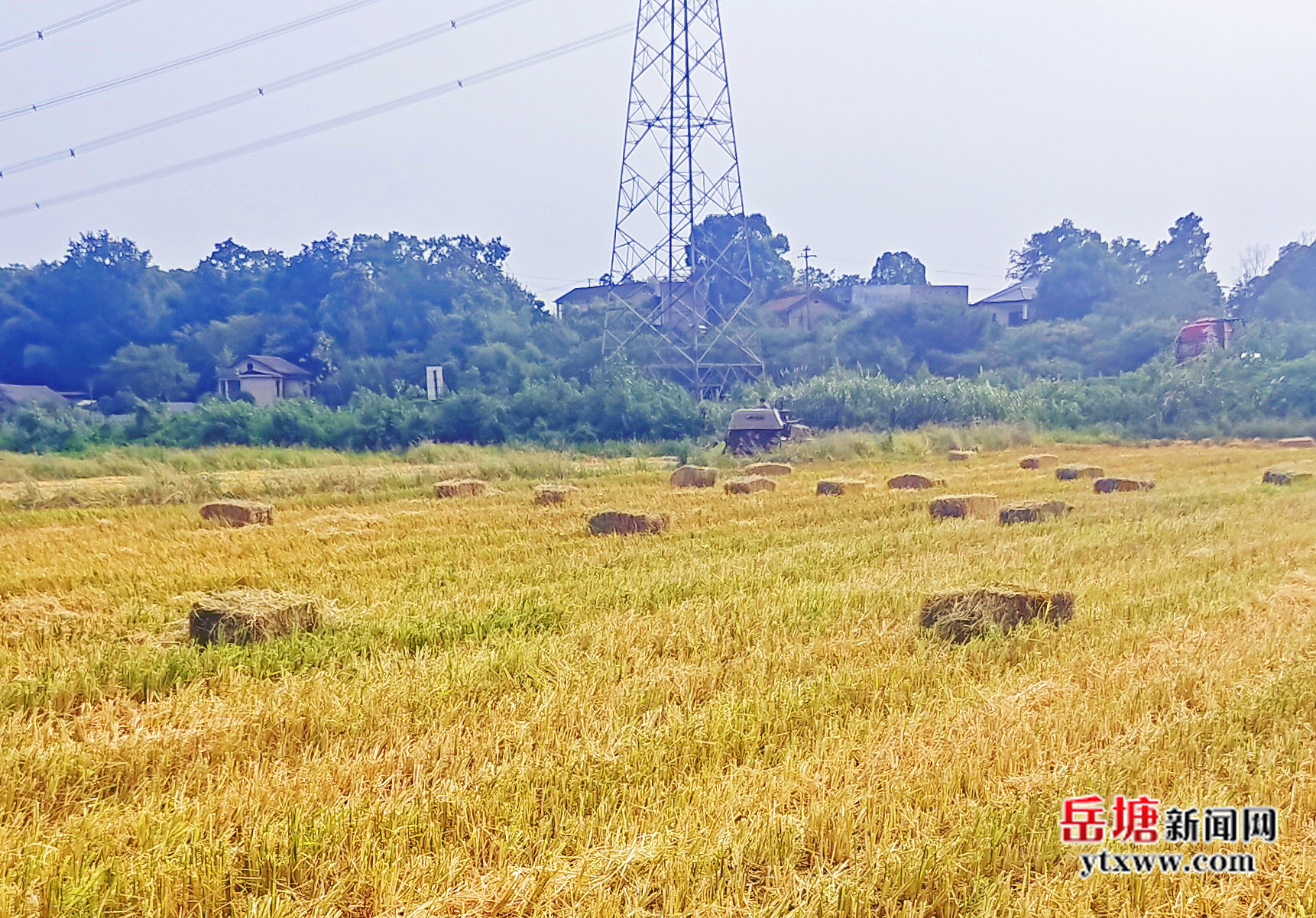 岳塘区：“秸”尽其用 变废为宝