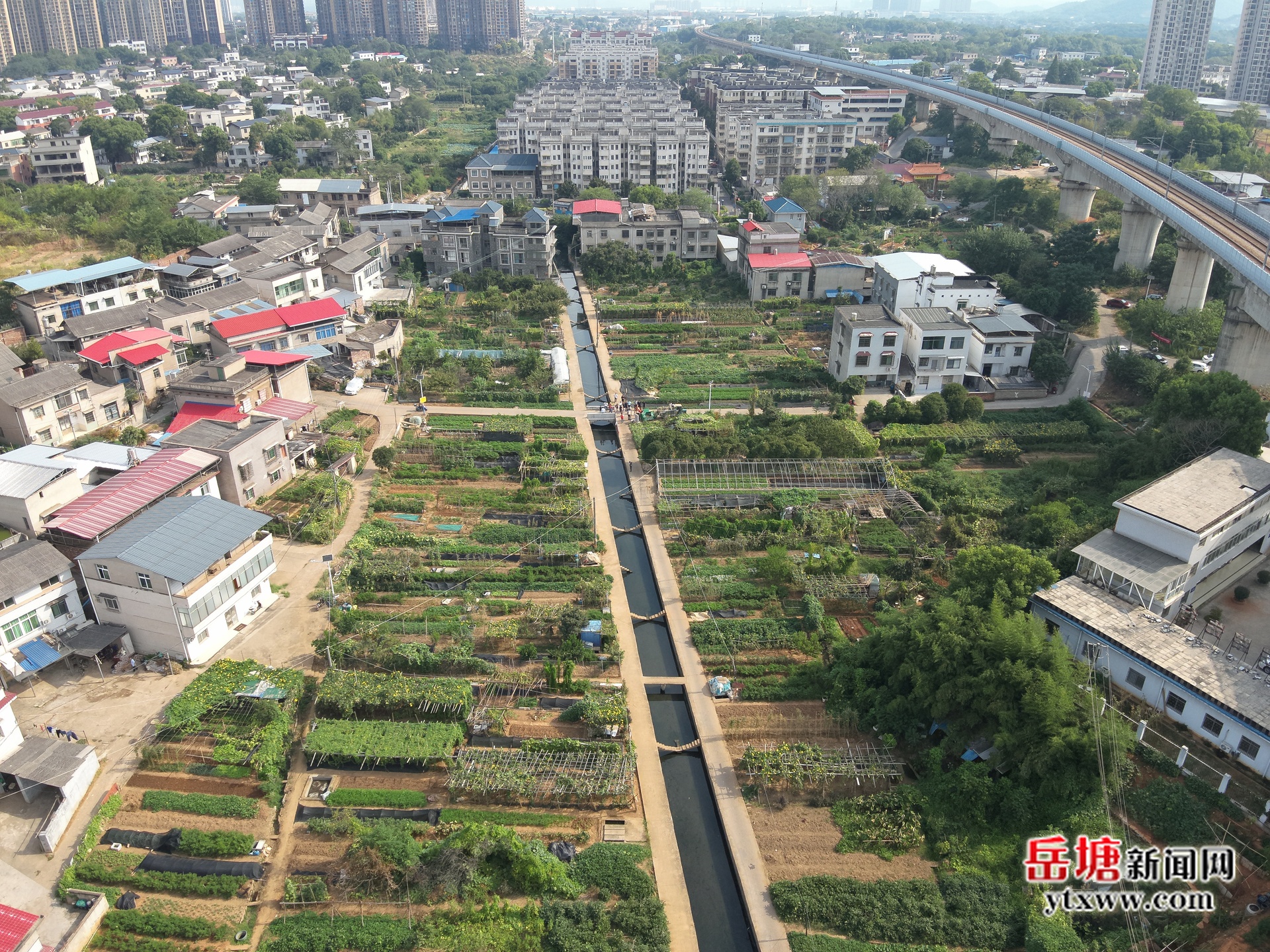 岳塘區(qū)：打出秸稈禁燒組合拳 全力守護藍天凈土