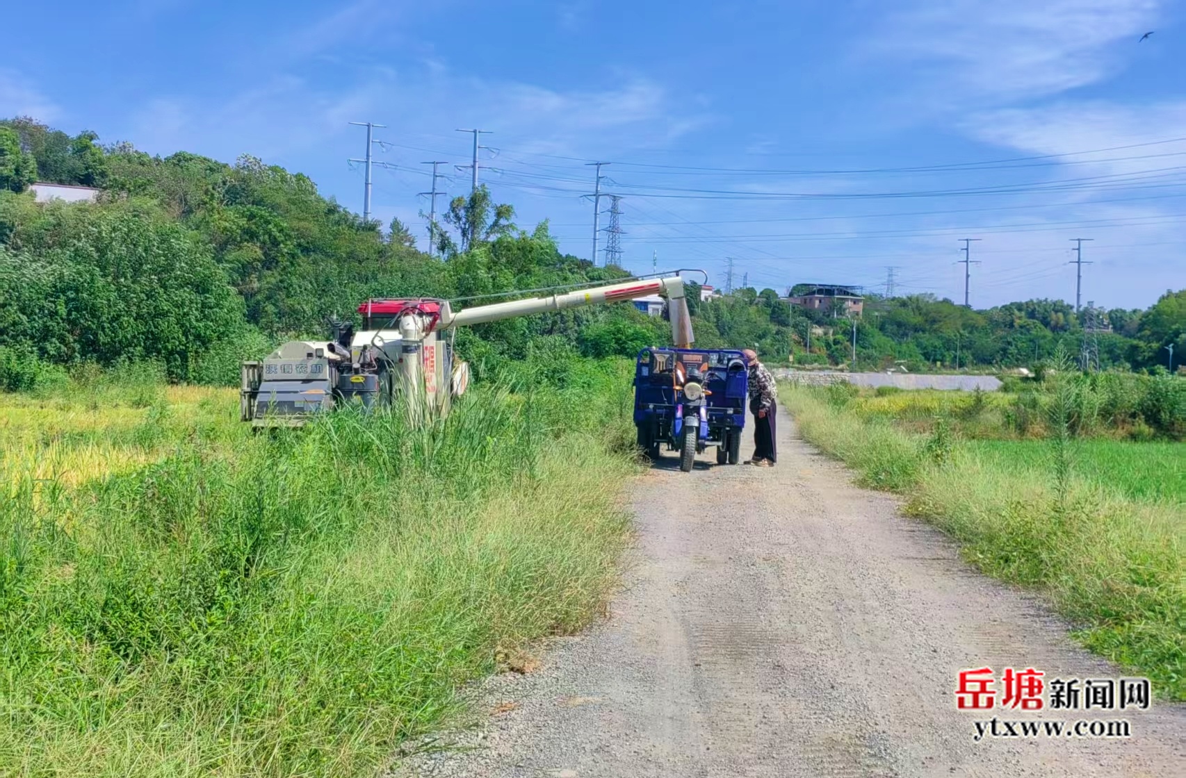 新華村：荒地變“聚寶盆”  村民共享“發(fā)展果”
