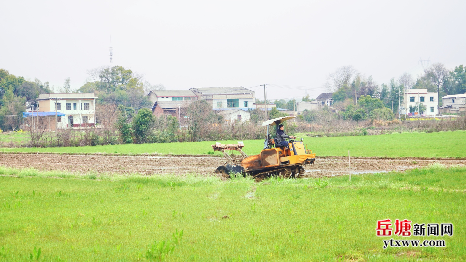 周賞玲調(diào)研春耕生產(chǎn)工作