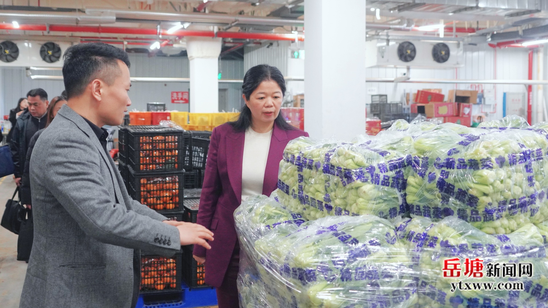 周賞玲到颶速冷鏈開展“企業(yè)服務(wù)年”行動(dòng)