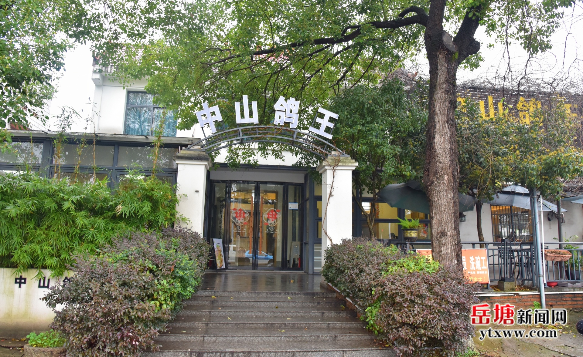 吃在湘潭 有味岳塘丨中山鴿王：一鴿香滿(mǎn)堂