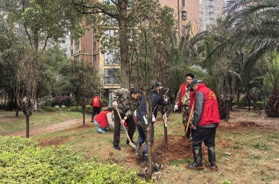 云盤社區(qū)：以“一核兩管三治”繪就學(xué)雷鋒志愿服務(wù)暖心畫卷