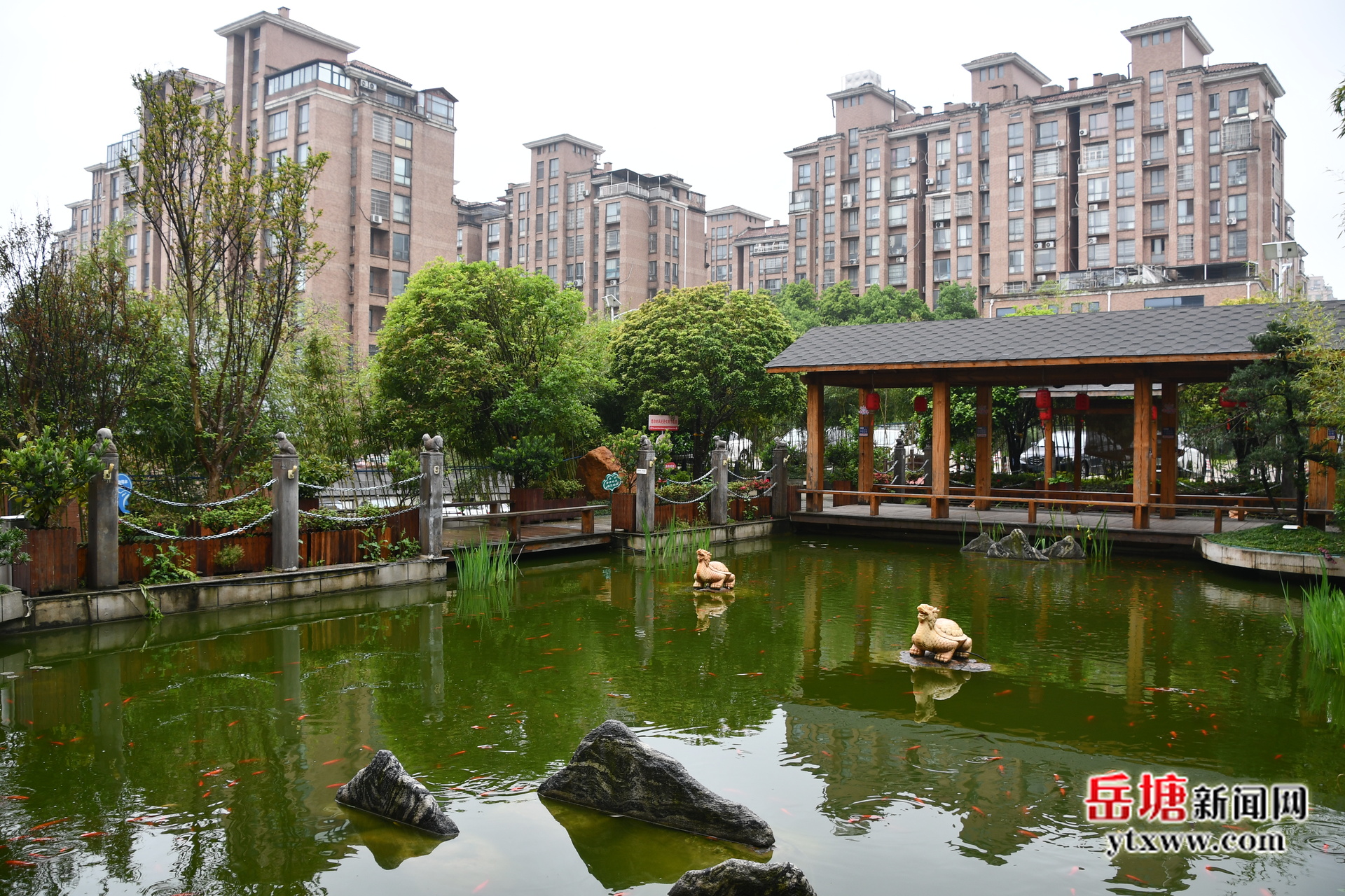 吃在湘潭 有味岳塘丨氿玖苑園林餐廳：藏在園林里的湘味