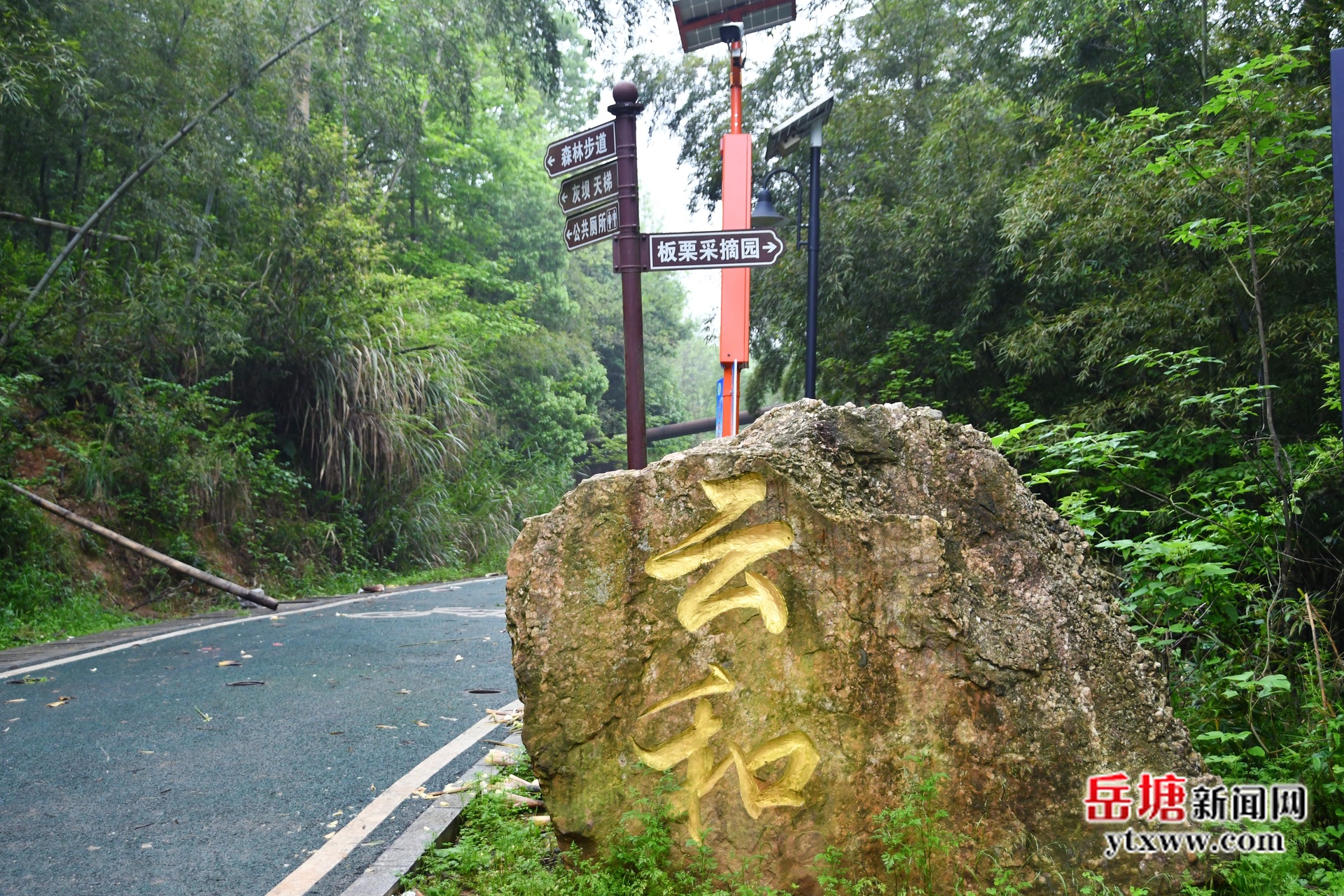 第六屆湖南旅游發(fā)展大會(huì)丨法華山：赴一場(chǎng)暮春里的綠心山野之約