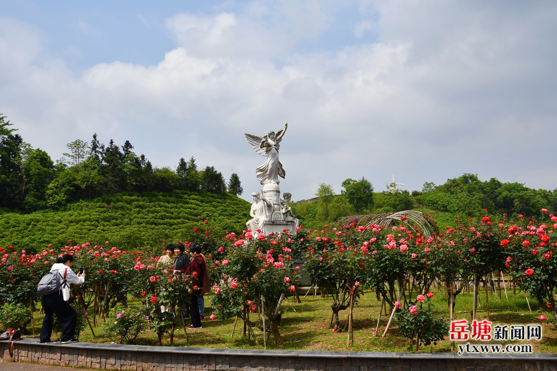 第六屆湖南旅游發(fā)展大會(huì)丨300畝玫瑰花海上線 周末來岳塘赴一場(chǎng)浪漫之約