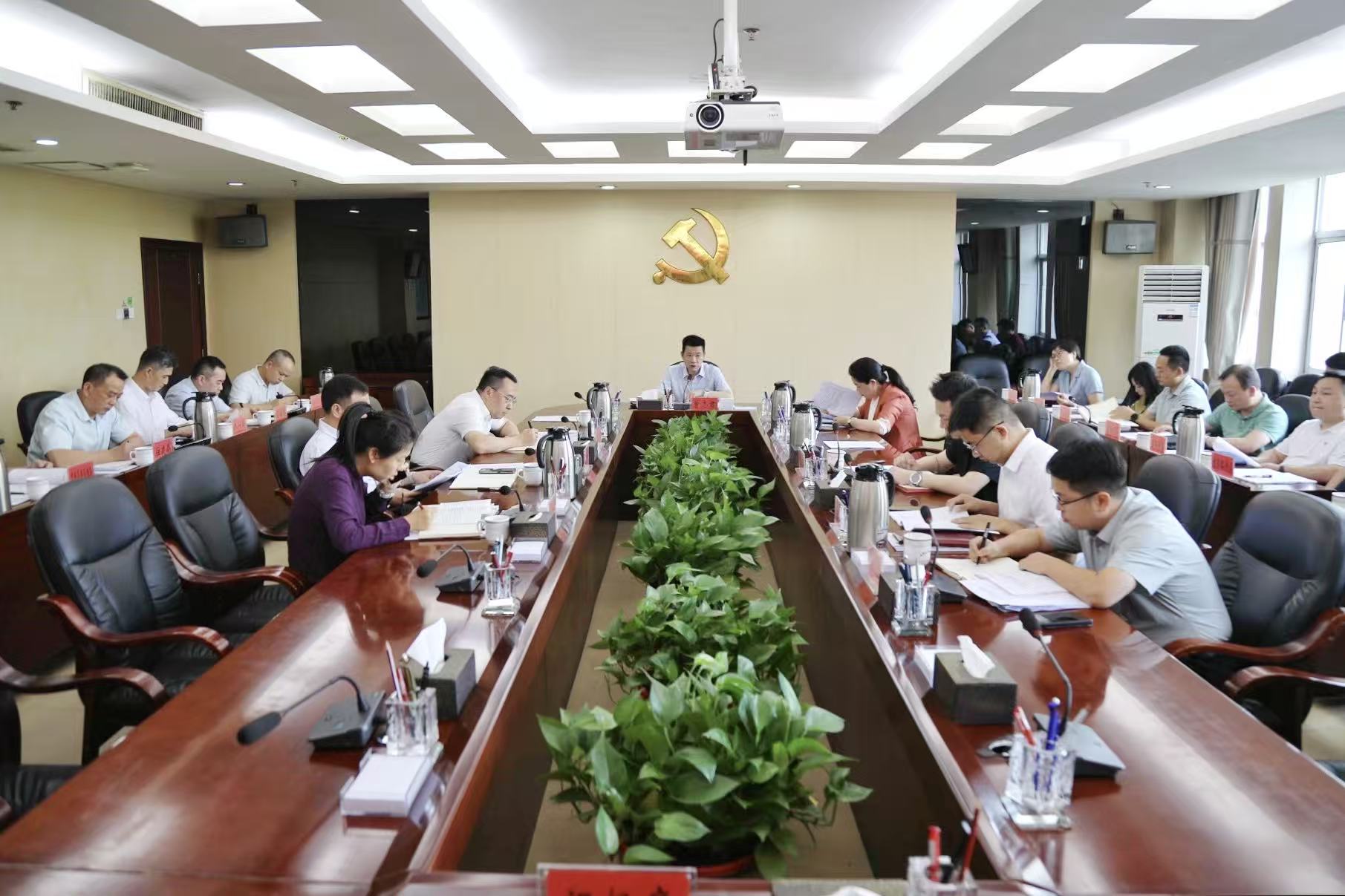 曾志君主持召开全区群众身边不正之风和腐败问题集中整治工作专题调度会