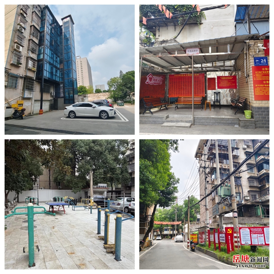 喜迎党代会 我们这五年丨岳塘区：匠心筑城提品质 实干住建惠民生