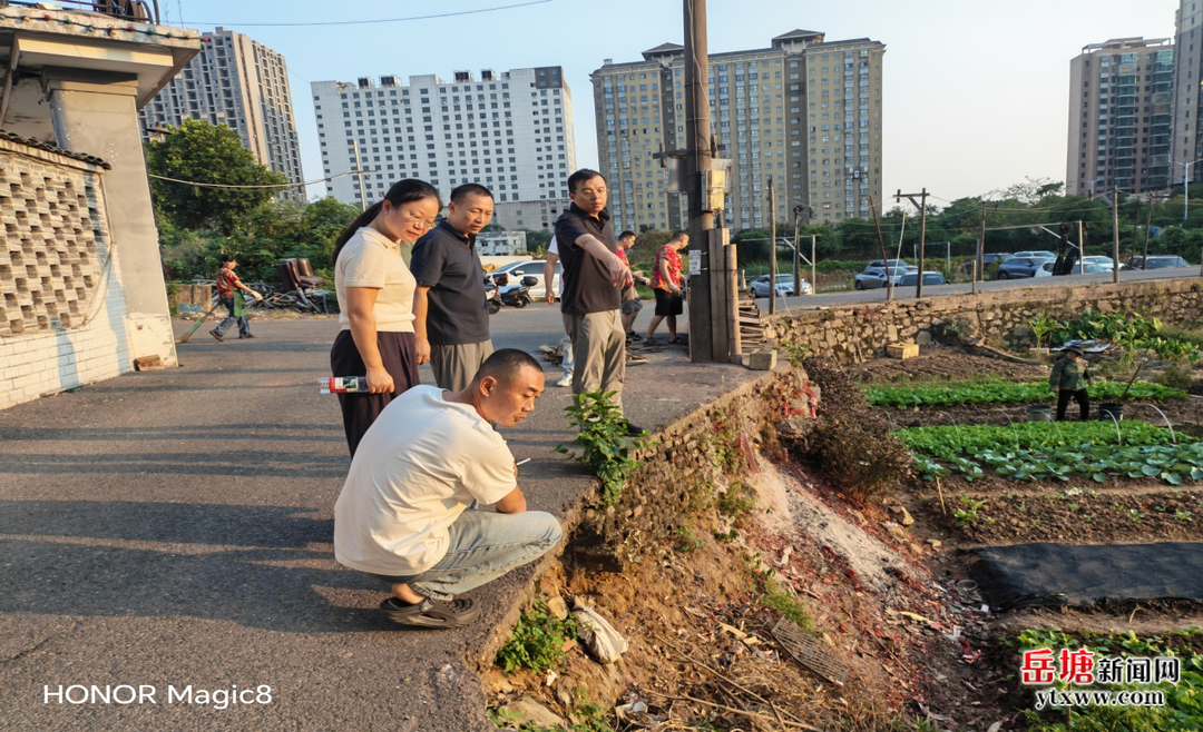 区领导督导生态环境问题整改整治工作