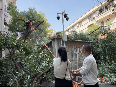 运河社区：纪检监督精准发力 清枯除危护航民生
